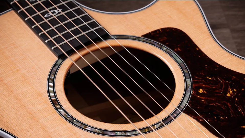 Taylor-Next Generation 512ce-